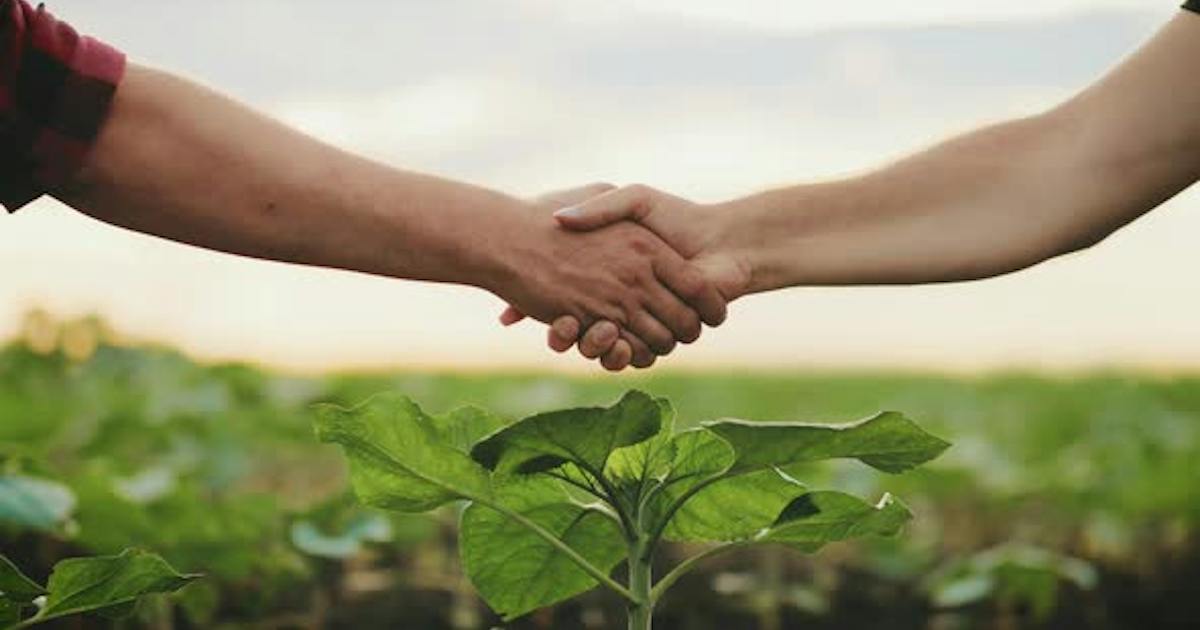 Asesorías técnicas agropecuaria